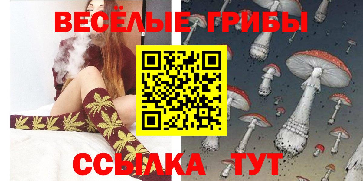 Кимры  Галлюциногенные грибы MAGIC MUSHROOMS  Вход с VPN 